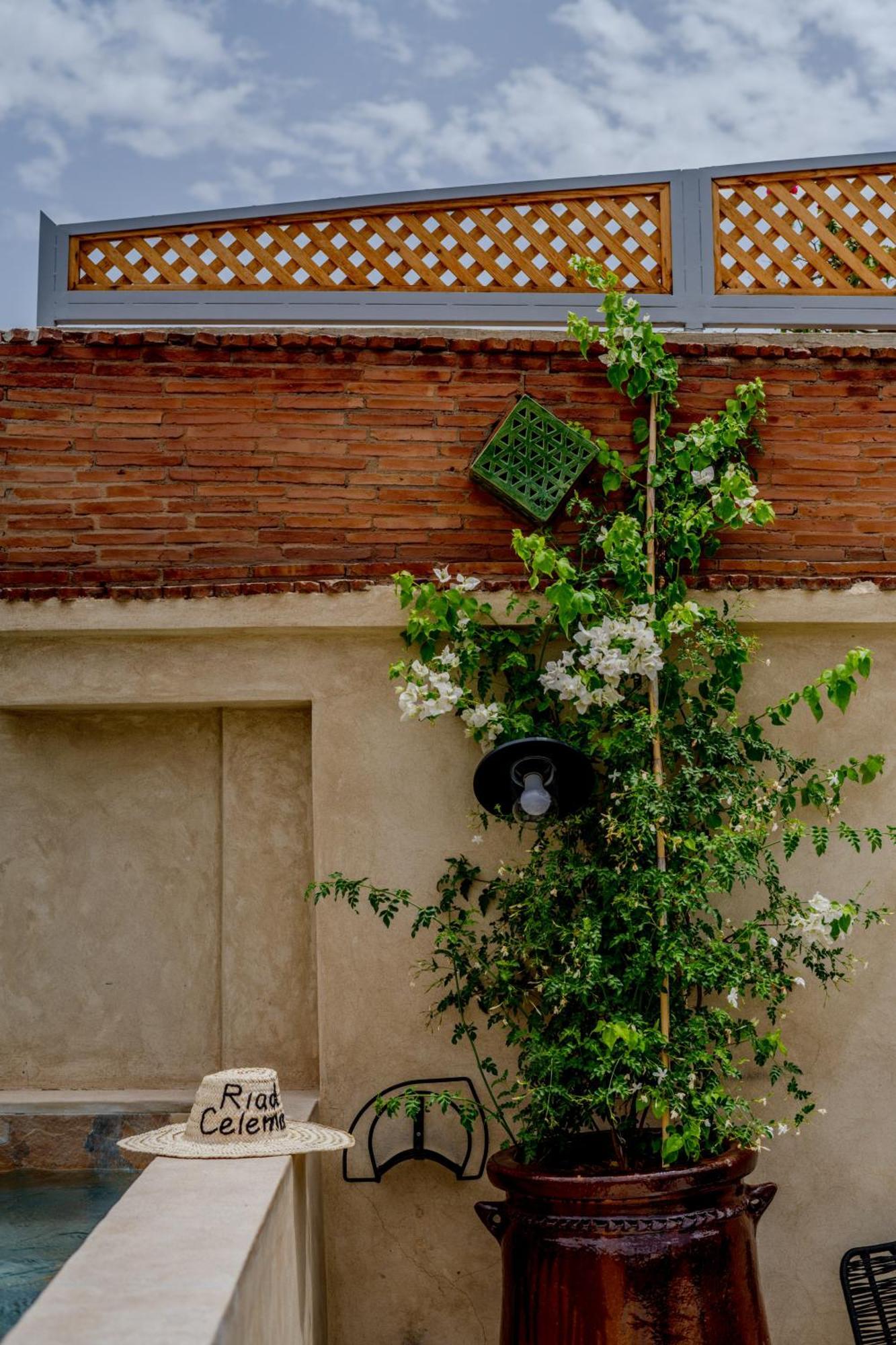 Riad Celema & Spa Маракеш Екстериор снимка